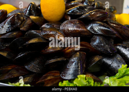 Stuffed Mussels. Midye Dolma is a kind of mediterranean cuisine. Seafood from besiktas and eminonu, Turkey. It is popular traditional food with beer i Stock Photo