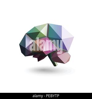 Colored brain, polygonal design, vector illustration. Science research and development laboratory logo template. Brain learning, brain storming modern icon. Stock Vector