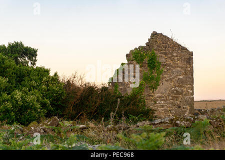 Ruins of a farm building alongside a public footpath near Madron, Cornwall UK Stock Photo
