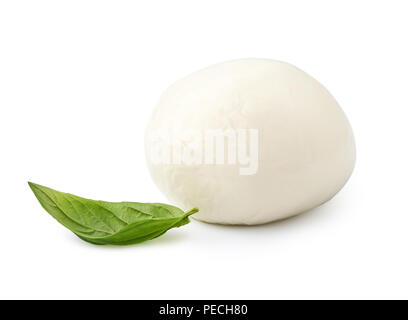 Mozzarella Buffalo with basil leaf isolated on white background with clipping path.