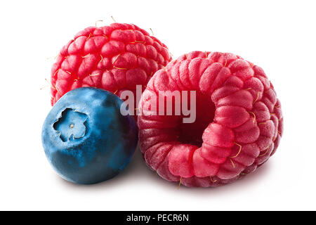 Wild isolated berries. Blueberry or blackberry and raspberry over white background, with clipping path. Stock Photo