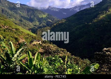 LA ZUNGA - Ecuador border -San Ignacio- Department  of Cajamarca .PERU                  Stock Photo