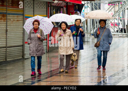 South Koreans with Umbrellas on Rainy Day Busan Pusan South Korea Asia Stock Photo