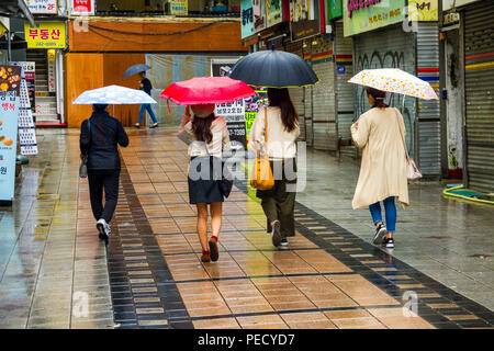 South Koreans with Umbrellas on Rainy Day Busan Pusan South Korea Asia Stock Photo