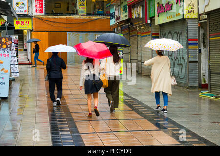 South Koreans with Umbrellas on Rainy Day Busan Pusan South Korea Asia Stock Photo