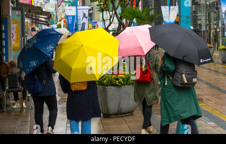 South Koreans with Colorful Umbrellas on Rainy Day Busan Pusan South Korea Asia Stock Photo