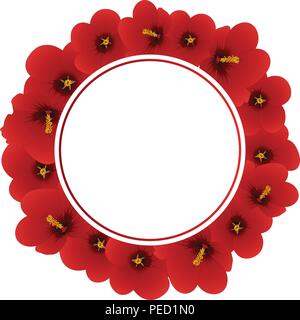 Hibiscus syriacus - Rose of Sharon Border isolated on White Background ...