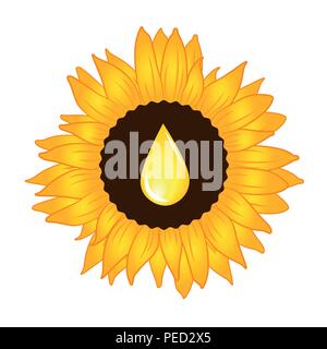 Sunflower oil yellow drop inside vector illustration EPS10 Stock Vector