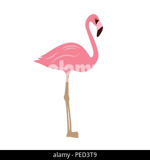 Pink flamingo isolated on white background vector illustration EPS10 Stock Vector