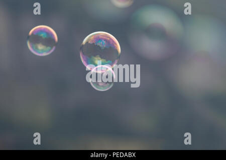 Three soap bubbles flying through the air on a blurry dark gray background Stock Photo