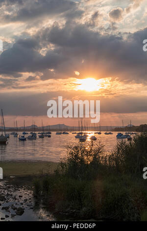 Sailing boats on Untersee, sunset, Allensbach, Lake Constance, Baden-Württemberg, Germany Stock Photo