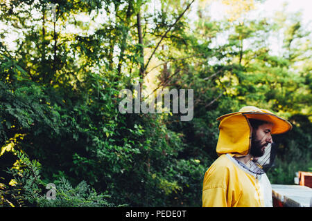 Sunset light on a apiary and beekeeper in a protective suit Stock Photo