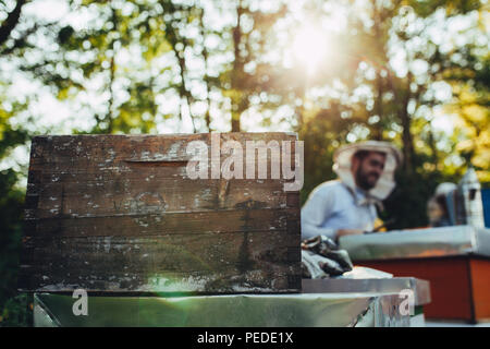 Beautiful light on apiary with beekeepers working and closeup of a honeycomb Stock Photo