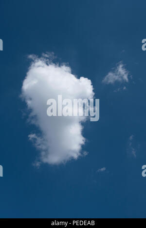Single cloud against a blue sky. Stock Photo