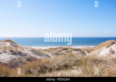 Dunes at the Danish North Sea coast the beach of Blaavand Stock Photo