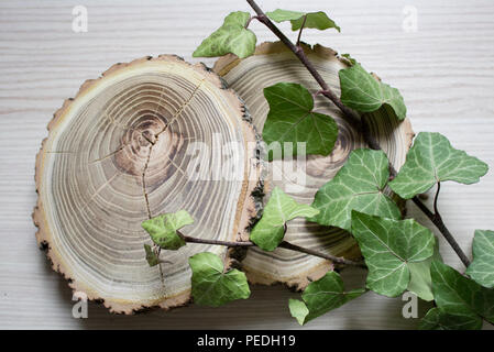 The cut trees and branches of ivy. Stylish decoration. Vintage Stock Photo