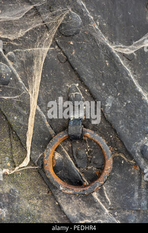 Handle on a medieval cobwebbed iron door Stock Photo