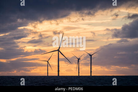 Dusk with wind turbines of Walney Extension Offshore wind farm Stock Photo