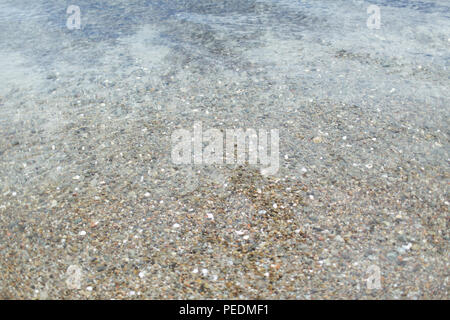 Clear water with small shells, pebbles and sand visible on the bottom Stock Photo