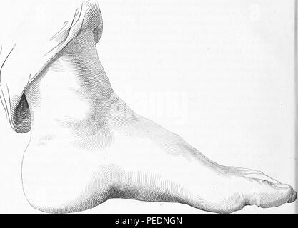 Black and white print of a human foot, depicted in profile view, intended as an example to be used for drawing practice, from JG (John Gadsby) Chapman's 'The American drawing-book: a manual for the amateur, and basis of study for the professional artist: especially adapted to the use of public and private schools, as well as home instruction', 1847. Courtesy Internet Archive. () Stock Photo