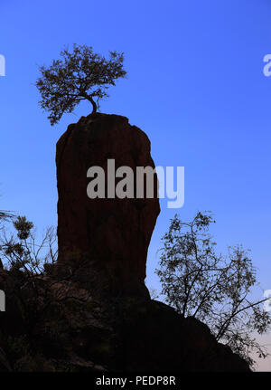A lone tree perched on top of a rocky outcrop and silhouetted against a clear blue sky in Namibia. Stock Photo