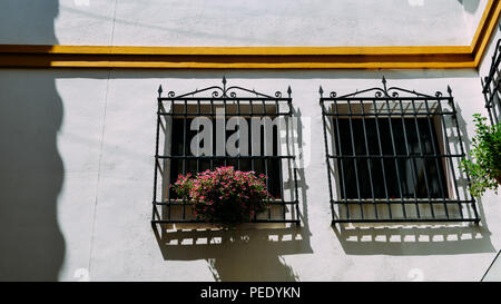 Close up of white limestone building window frame with colourful flowers in Cordoba, Spain. Stock Photo