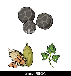 Herb and spices cartoon icons in set collection for design.Different kinds of seasonings vector symbol stock  illustration. Stock Vector