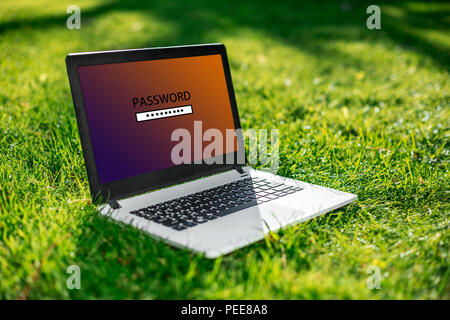 Password protected to login on the computer screen. Privacy Security Protection. Laptop on green grass.