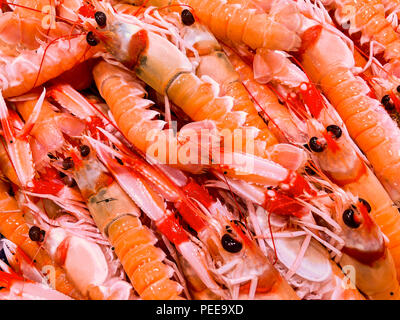 Crayfish (Nephrops Norvegicus) in a seafood market, Alicante city. Costa Blanca, Spain Stock Photo
