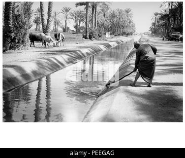 An Egyptian farm irrigation system to channel water from the River Nile ...