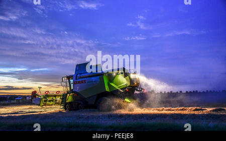 Combine harvester at dusk harvesting a field of corn dust pouring out of the back Stock Photo