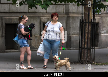 Budapest, Hungary, July 04: Two women and their pet dogs met on a hot summer day on a street in Budapest on July 04, 2018. Stock Photo