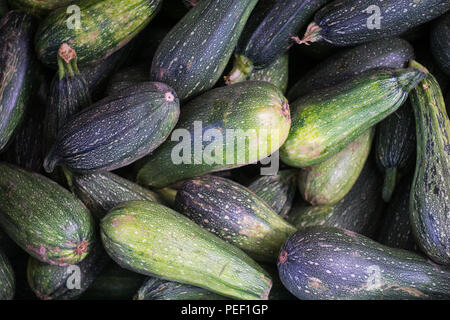 Green fresh zucchini ( squash ) stacked in a heap shot from above. Close up. Stock Photo