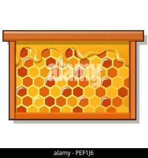 Wooden frame with sweet golden honeycomb with honey isolated on white background. Natural healthy food. Vector cartoon close-up illustration. Stock Vector