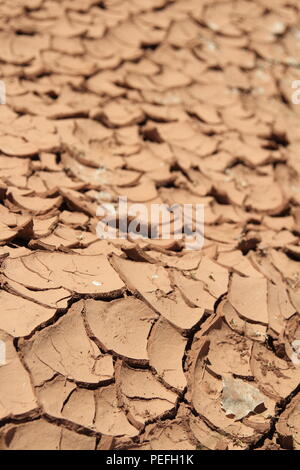 Parched earth in at the bottom of Dark Canyon, Bears Ears National Monument, Utah, USA Stock Photo