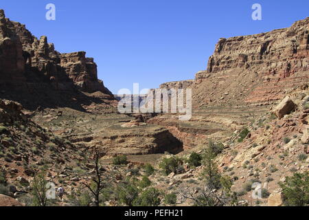 Dark Canyon, Bears Ears National Monument, Utah, USA Stock Photo