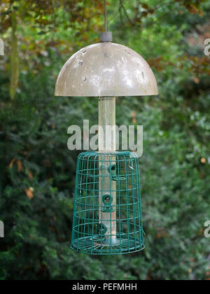 Empty wild bird feeder hanging from trees. Selective focus, bluured foliage background. Stock Photo