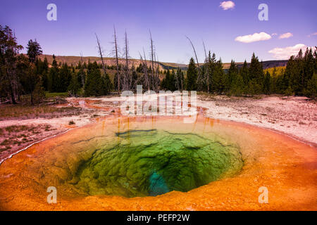 Morning Glory Pool in Yellowstone National Park Stock Photo