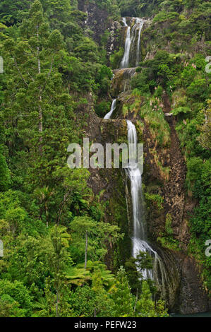 Kitekite Falls, Waitakere Ranges Regional Park, North Island, New Zealand Stock Photo