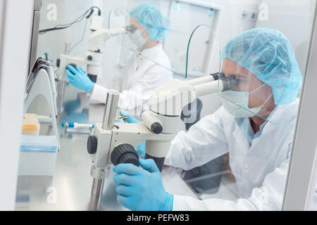 Two lab technicians or scientists working in laboratory Stock Photo