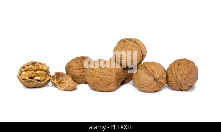 Horizontal photo of arrangement of walnut shells and cracked walnuts isolated on white background. Stock Photo
