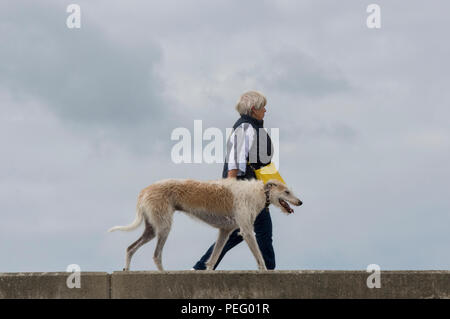 a woman walking a large dog along a sea wall on the isle of wight. Irish wolfhound.