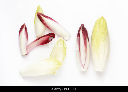 Red and White Chicory on white background overhead Stock Photo