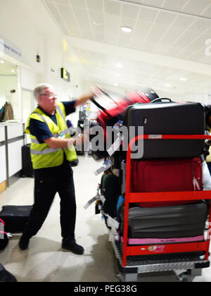 Baggage handler hand loading lost baggage using the facilities at the arrivals Manchester International Airportat Manchester International Airport Stock Photo