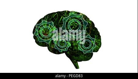 Brain activity illustration. Shape of human brain with green plants texture and semi transparent gears mechanism. 3d render Stock Photo