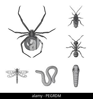 Different kinds of insects monochrome icons in set collection for design. Insect arthropod vector symbol stock  illustration. Stock Vector