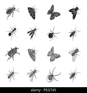An insect arthropod, an osa, a spider, a cockroach. Insects set collection icons in black,monochrome style vector symbol stock isometric illustration  Stock Vector