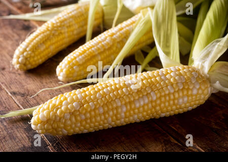 Freshly picked corn on the cob on a rustic wooden harvest table. Stock Photo