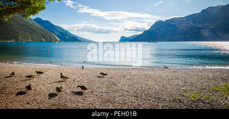 Lake Garda is the largest lake in Italy Stock Photo