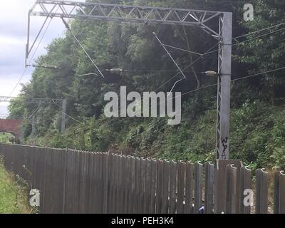 Birmingham, UK. 14th August, 2018. A tree fell onto the railway line in between University and Five Ways Stations, resulting in significant damage to the overhead power lines.  This was the second time in as many weeks that a tree has closed the lines in this location, causing significant disruption. Credit: Kevin Coy/Alamy Live News Stock Photo